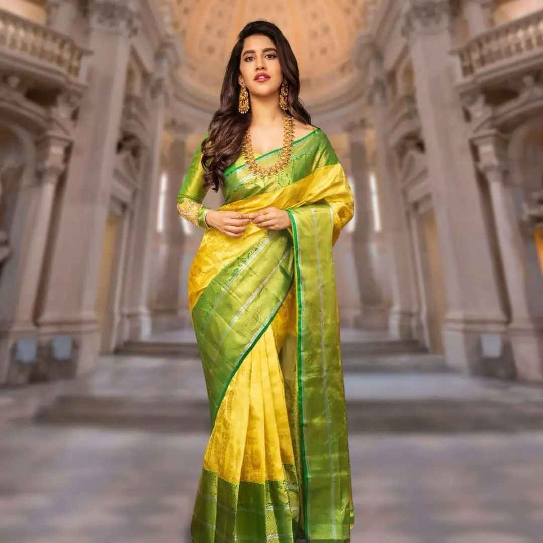 Nabha Natesh in Beautiful Jewlery Yellow Saree Green Blouse